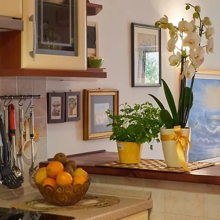 Monina Apartamento *